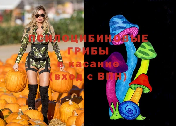 дурь Армянск