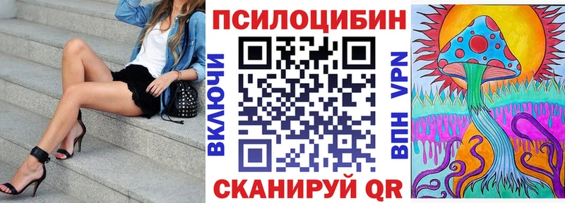 Галлюциногенные грибы Cubensis цены наркотик Ельня